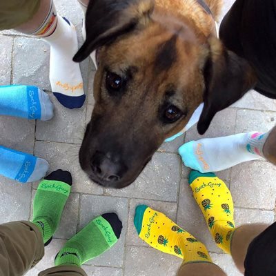 Contact Us Contact Us